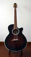 Takamine_PT-108